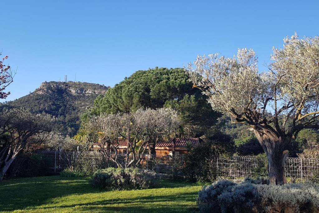 Sous Le Grand Pin Gites Eden En Cevennes Anduze Exterior photo